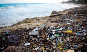 Tulum, un Edén convertido en vertedero de basura