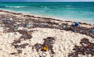 Tulum, un Edén convertido en vertedero de basura