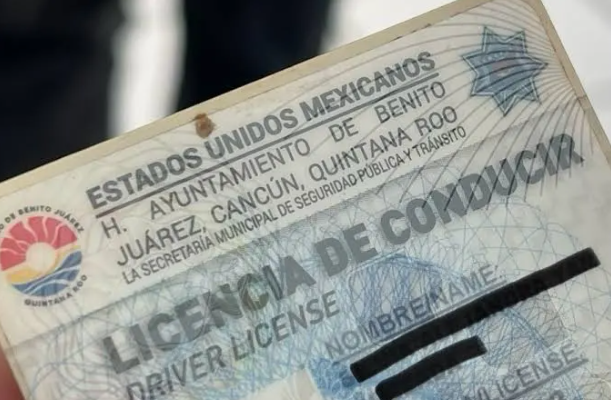 Licencias de conducir en Quintana Roo: Requisitos, precios y módulos  