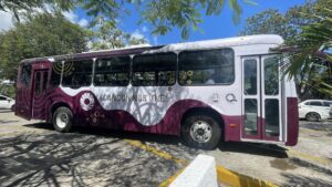 Así son los nuevos camiones de transporte público en Cancún