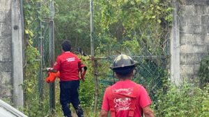 Fosa clandestina encontrada en Alfredo V. Bonfil 2