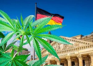 Uso recreativo de cannabis es legalizado en Alemania 1