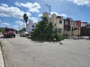 Evento de norte en Cancún deja árboles caídos, postes y espectaculares