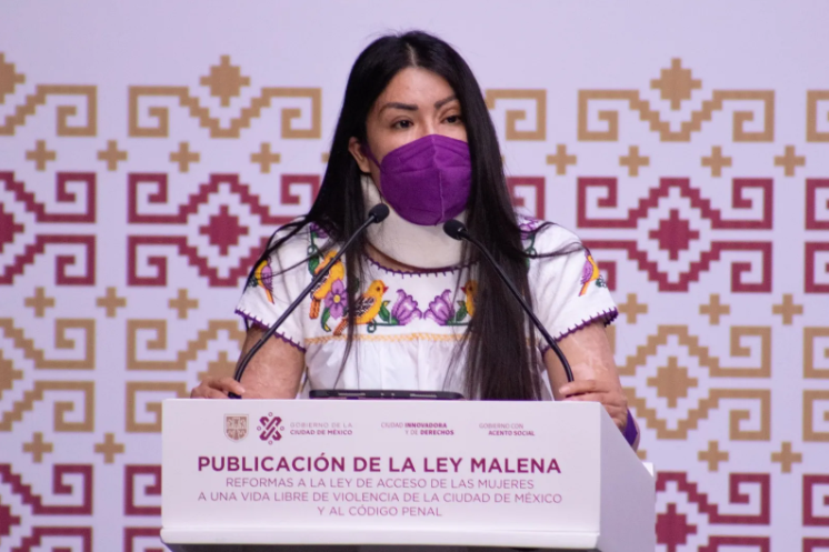 Ley Malena" en CDMX: Paso histórico contra la violencia de género