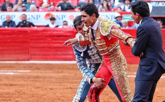 Torero Héctor Gutiérrez sufre cornada durante corrida en Plaza México