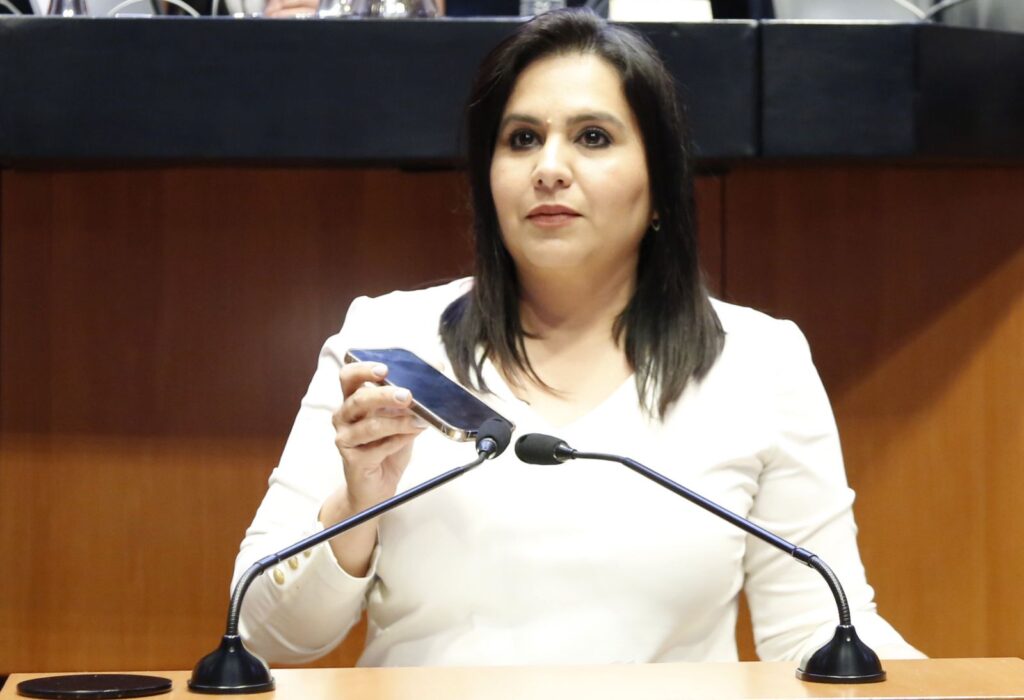 Senadora desafía a Morena: Exigen pruebas de viabilidad para el Tren Maya