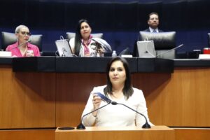 Senadora desafía a Morena: Exigen pruebas de viabilidad para el Tren Maya