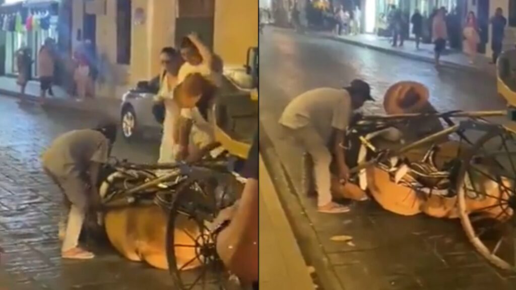 Caballo cae al jalar una calesa con turistas en Mérida (VIDEO)