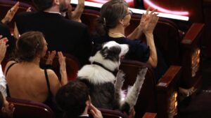 Messi, el perrito actor que robó miradas en los Oscar 2024