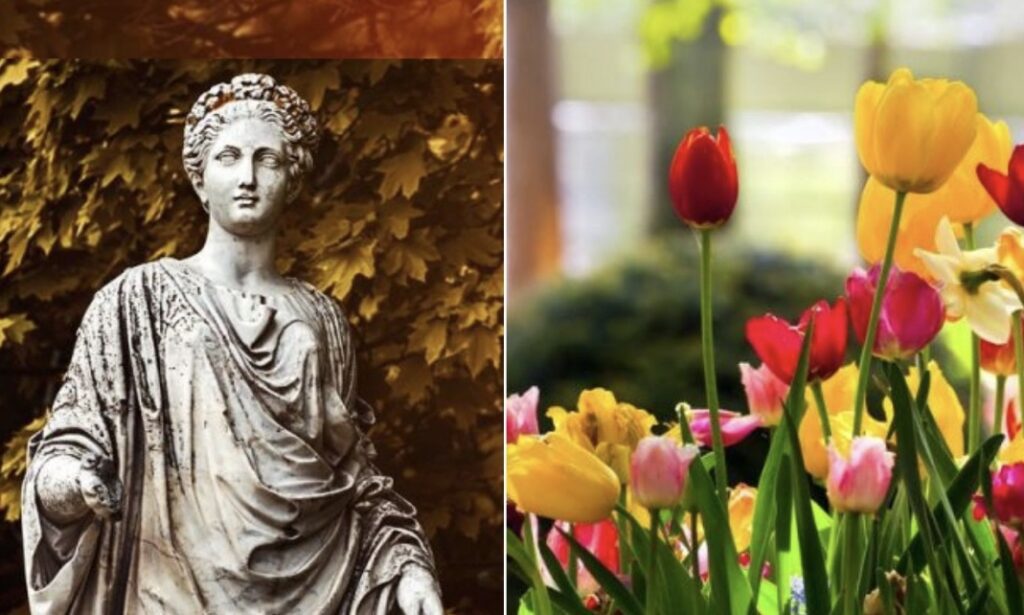 Primavera: ¿Qué significa y por qué le dicen “temporada de las flores”?