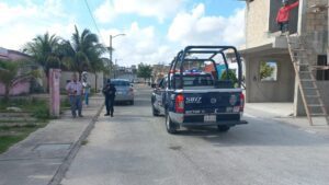 Reportan en Prado Norte envenenamiento de perros y gatos 1