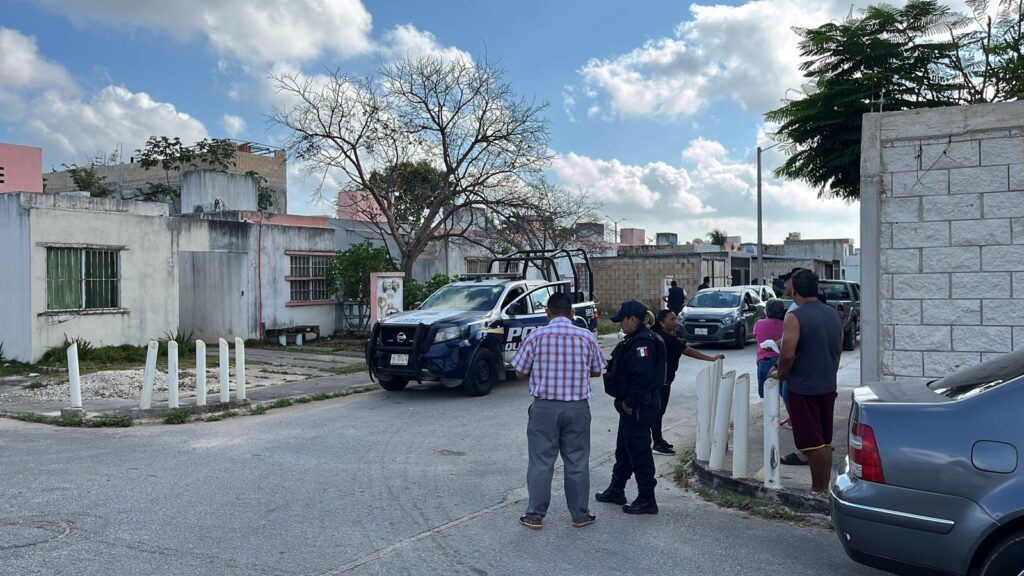 Reportan en Prado Norte envenenamiento de perros y gatos (3)