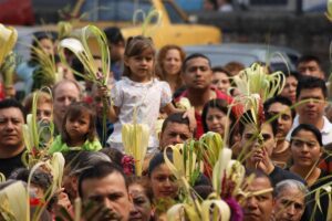 Significado de las palmas en Domingo de Ramos 1