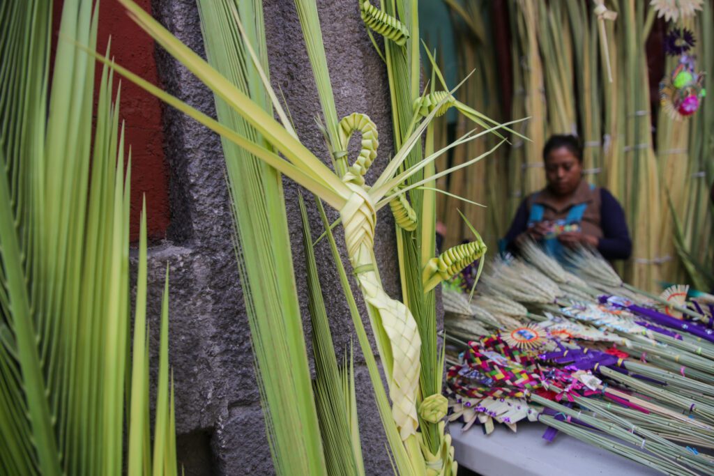 Significado de las palmas en Domingo de Ramos