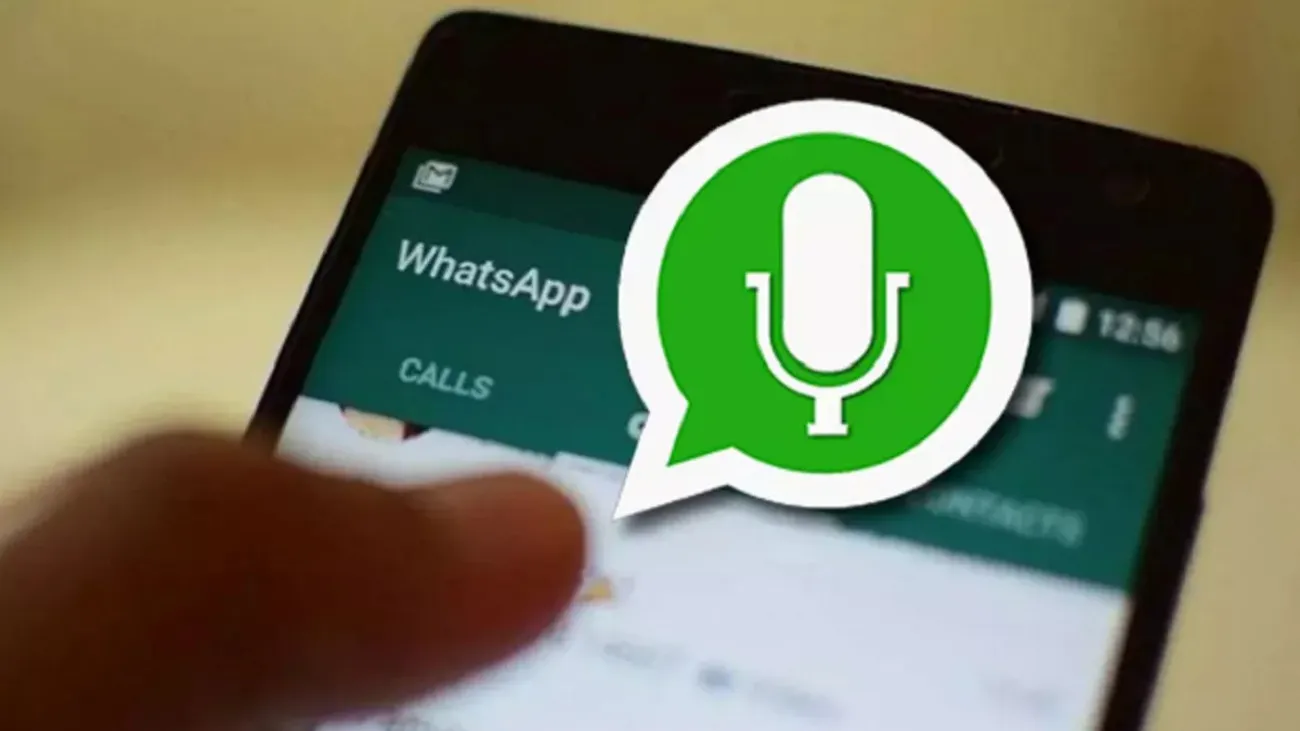 audio whatsapp