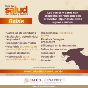 Signos de RABIA en animales domésticos ¡Cuidado!