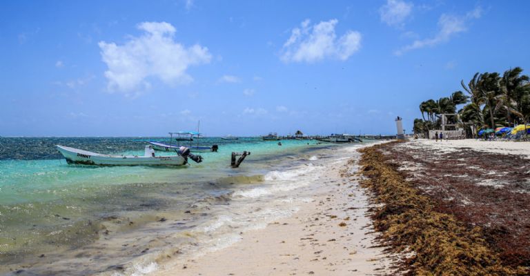 Toneladas de sargazo recalan en las costas de Quintana Roo