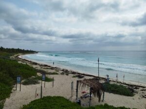 Toneladas de sargazo recalan en las costas de Quintana Roo