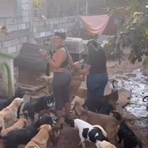 Niurka fue captada en un albergue de perros