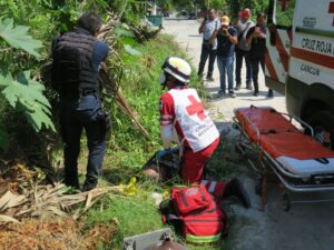 Cancún: Hallan a hombre inconsciente en área verde de Corales