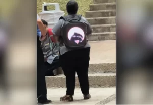 Soraya compartió un video mostrando nuevamente su mochila reproduciendo el video-meme del mapache Pedro