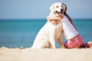 Estas son las razas de perros más cariñosos