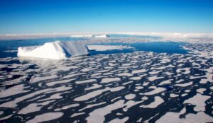 Cambio climatico sigue afectando al hielo marino de la Antartida