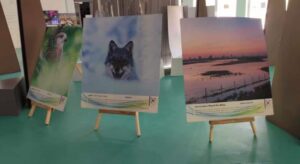 Inauguran en Playa del Carmen exposición fotográfica sobre el cambio climático