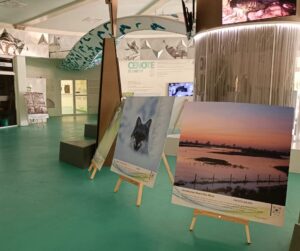 Inauguran en Playa del Carmen exposición fotográfica sobre el cambio climático