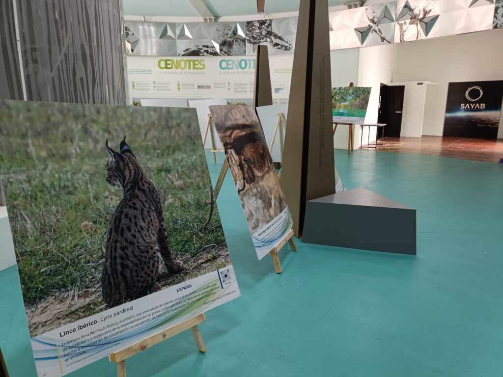 Inauguran en Playa del Carmen exposición fotográfica sobre el cambio climático