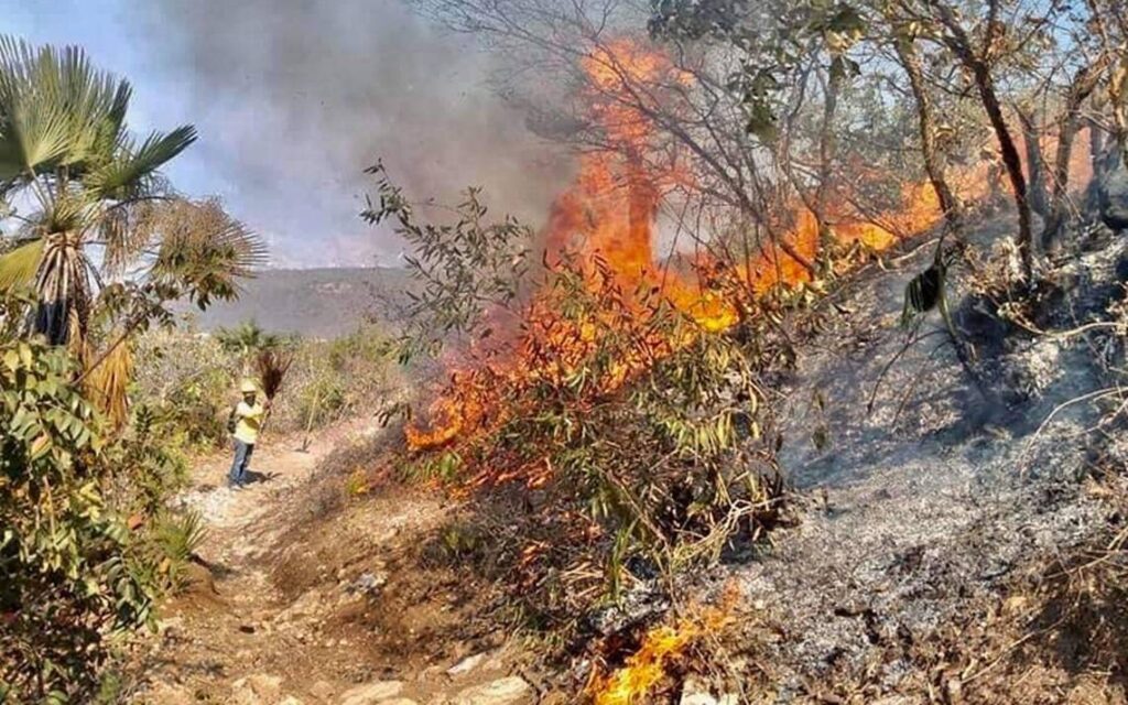 Reportan 30 incendios forestales activos en Guerrero