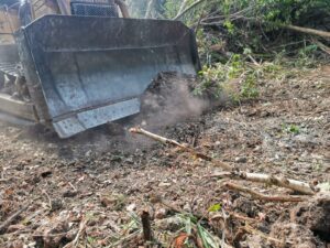 Brigadistas trabajan para combatir incendios forestales en Quintana Roo