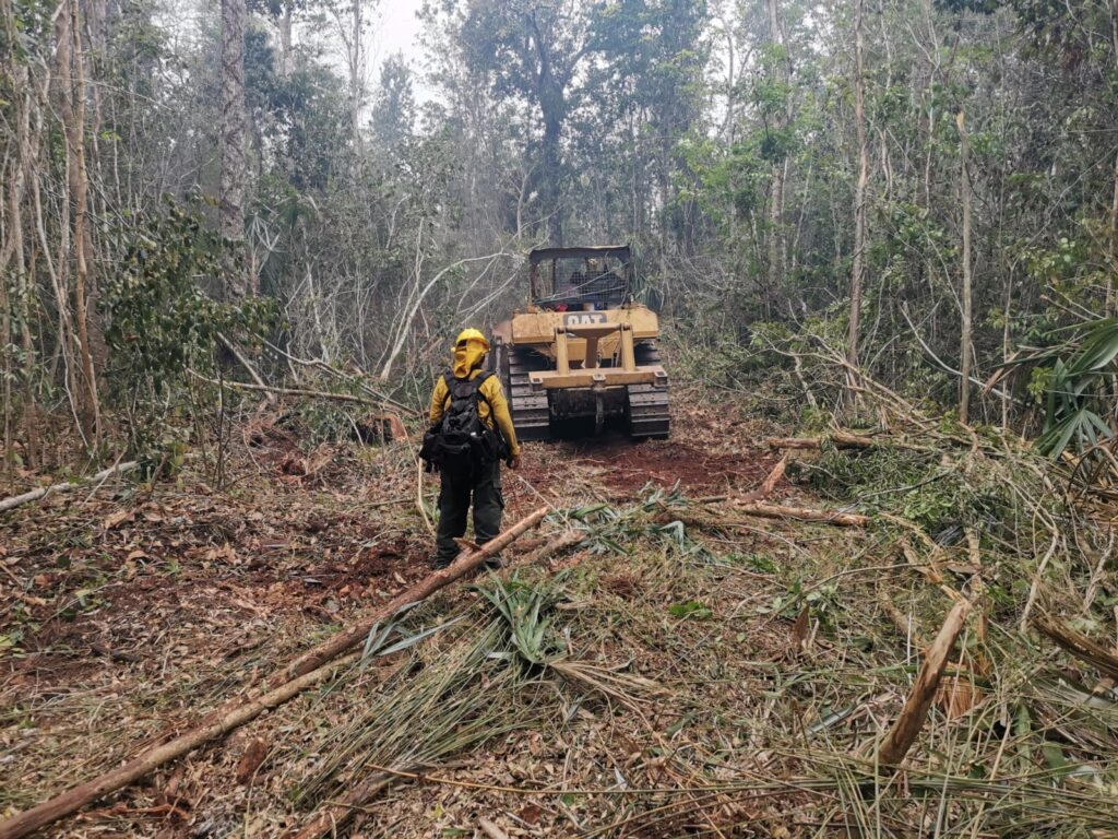 Brigadistas trabajan para combatir incendios forestales en Quintana Roo