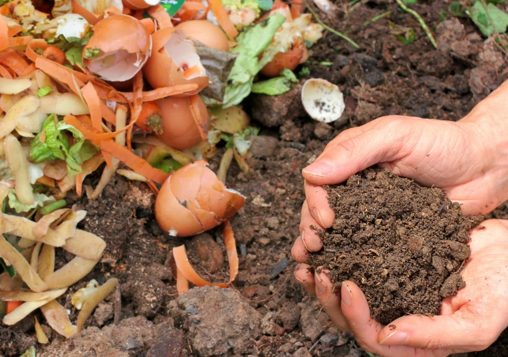 como hacer composta en casa el secreto para un jardin saludable y ecologico 1715961956874 1280