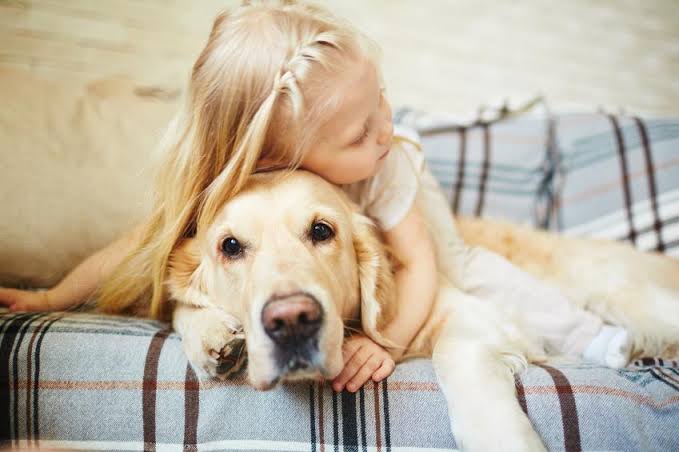 Estas son las razas de perros más cariñosos