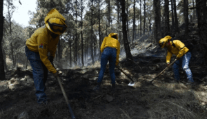 AMLO descarta riesgo por incendio en Valle de Bravo