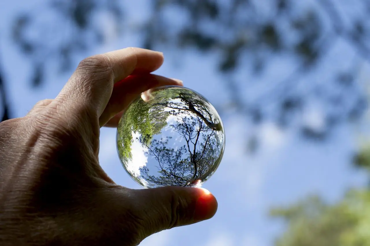 175911 Nature seen trough a glass ball