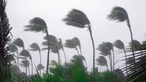 Estados afectados por ciclon tropical Berly