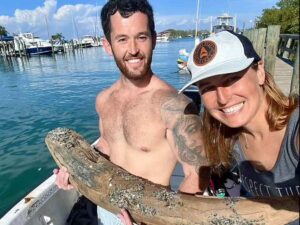 Hombre encuentra colmillo de monstruo prehistórico en Florida