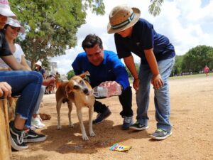 "Operación Rescate de Perritos de Chichén Itzá"