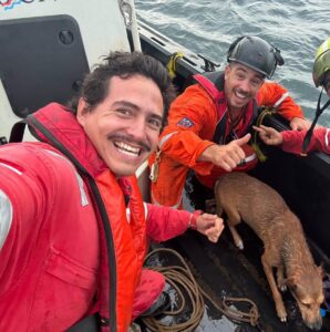 Trabajadores petroleros rescatan a perrito en el Golfo de México