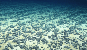 Oxígeno oscuro: ¿Qué es este impresionante descubrimiento hallado en el fondo del océano?