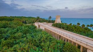 El parque y su conexión con el Tren Maya