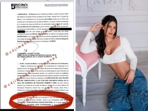 Livia Brito tendra que ir al Reclusorio Sur de la CDMX aca el motivo