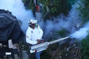 Mexico suma casi 24 mil casos de dengue va en aumento.