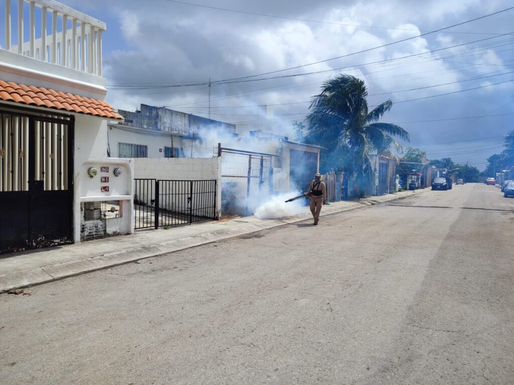 Trabajos de prevención del dengue en Quintana Roo