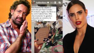 ¿Gabriel Soto tuvo una relación con Sara Corrales?