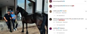 ¿Por qué Canelo Álvarez le regaló un caballo?