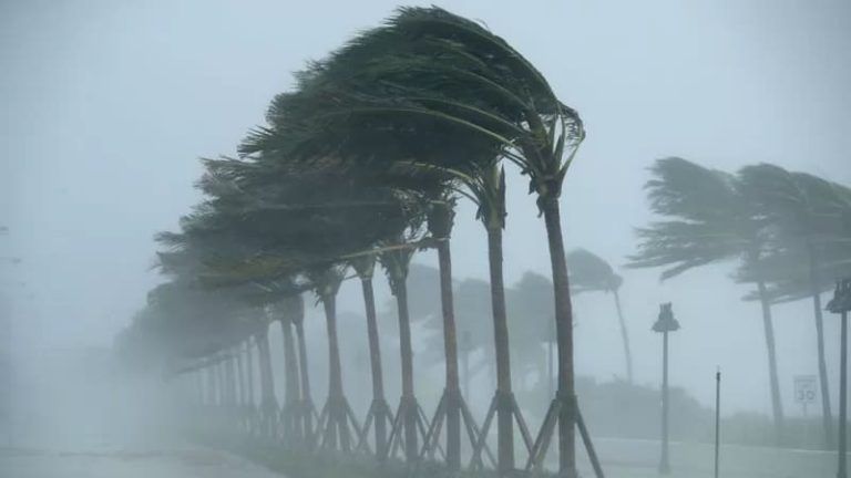 Temporada de Huracanes 2024: ¿Cómo actuar antes, durante y después de un huracán?