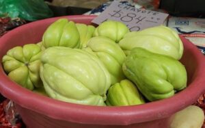 Chayote